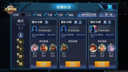 玖叔王者爆料视频下载安装,揭秘下载安装流程，轻松畅玩热门游戏  第3张