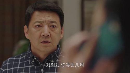 小欢喜35集在线观看,家庭纷争升级，情感纠葛再掀波澜  第1张